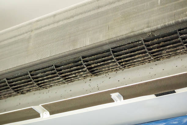 Best Dryer Vent Cleaning in Ewa Villages, HI